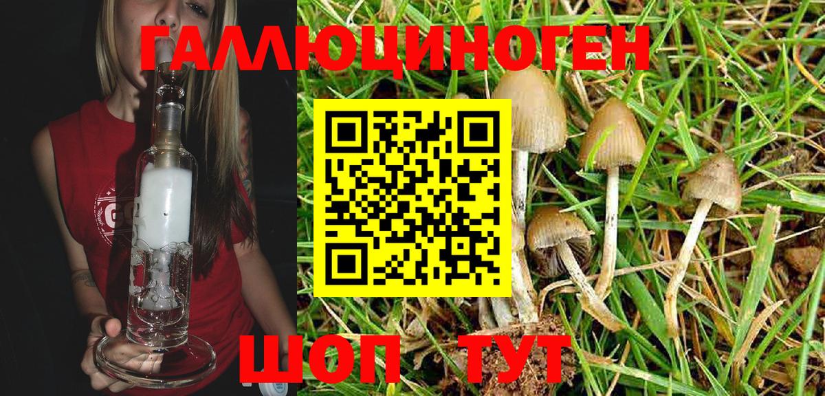 Галлюциногенные грибы Cubensis Киселёвск