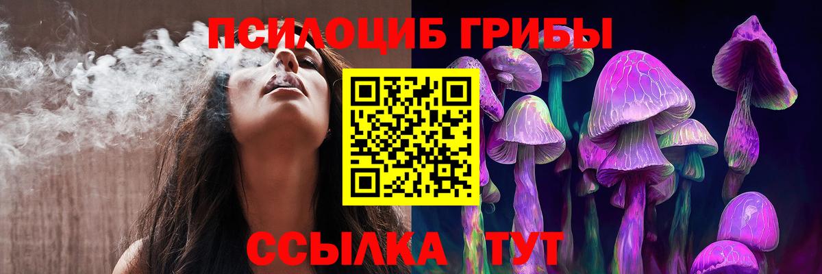 Киселёвск  Псилоцибиновые грибы Psilocybine cubensis  Вход с VPN 